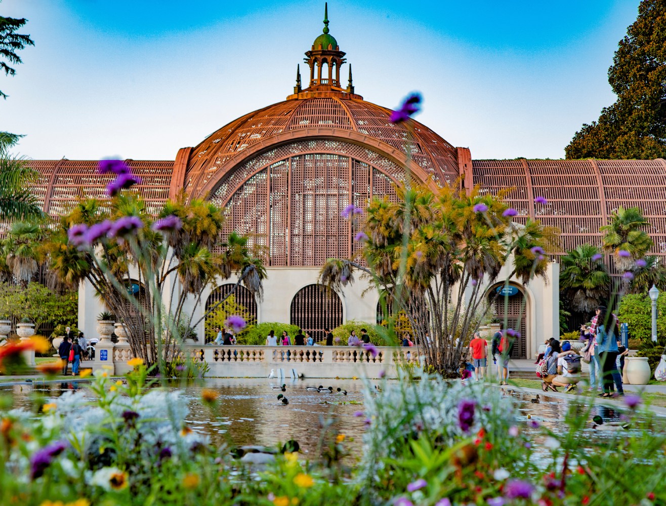 a colorful flower garden at Balboa Park